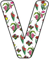 Tulpen-Buchstabe-V.jpg